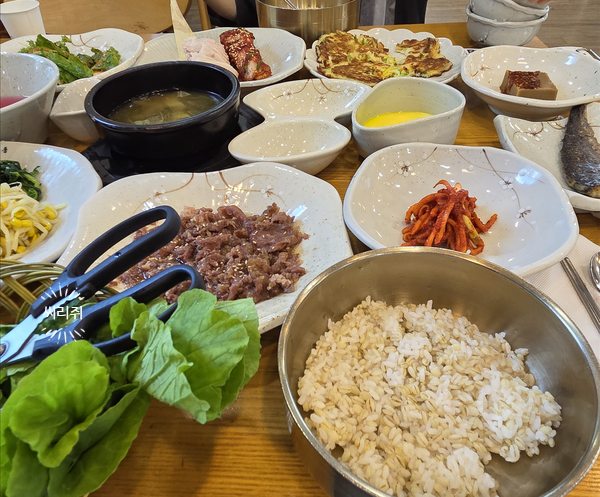 벽오동 사진 4