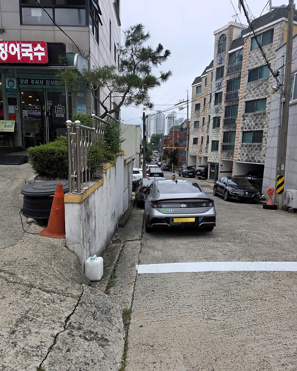 경동오징어국수 사진 6