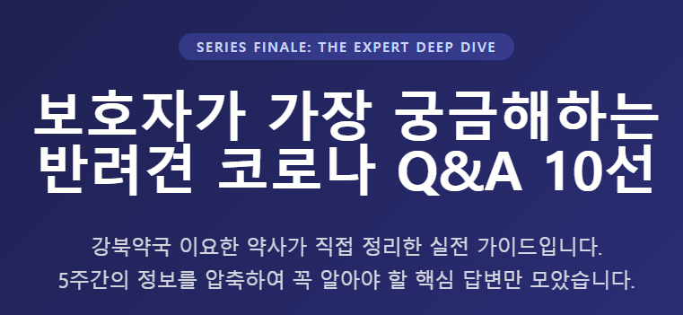 [반려견 코로나 심화편] 강아지 코로나바이러스 장염 Q&A 10선, 보호자가 가장 궁금해하는 질....