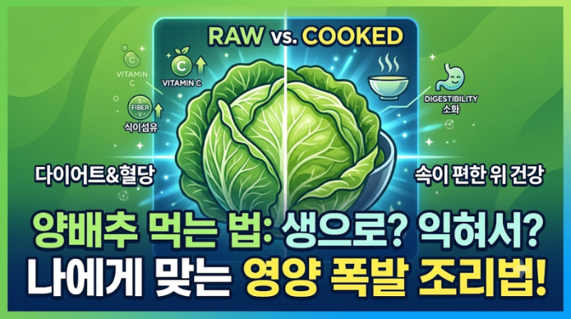 양배추 효능 극대화하는 법: 생으로 vs 익혀서, 내 몸에 맞는 올바른 조리법