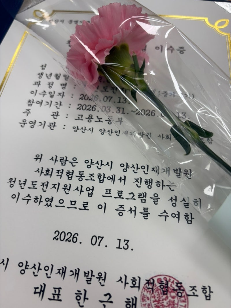 청년도전지원사업 중기 프로그램 수료 후기 - 신청방법, 장점과 단점, 교육내용, 아르바이트,....