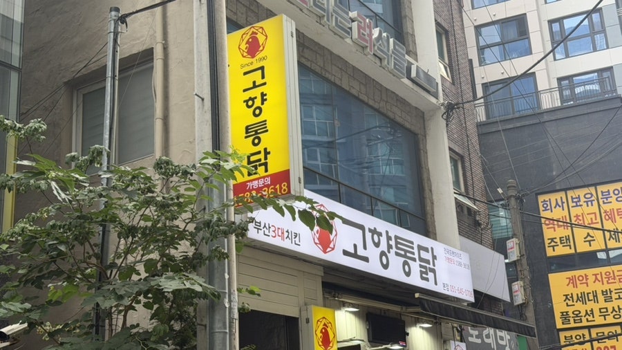 고향통닭 사진 1