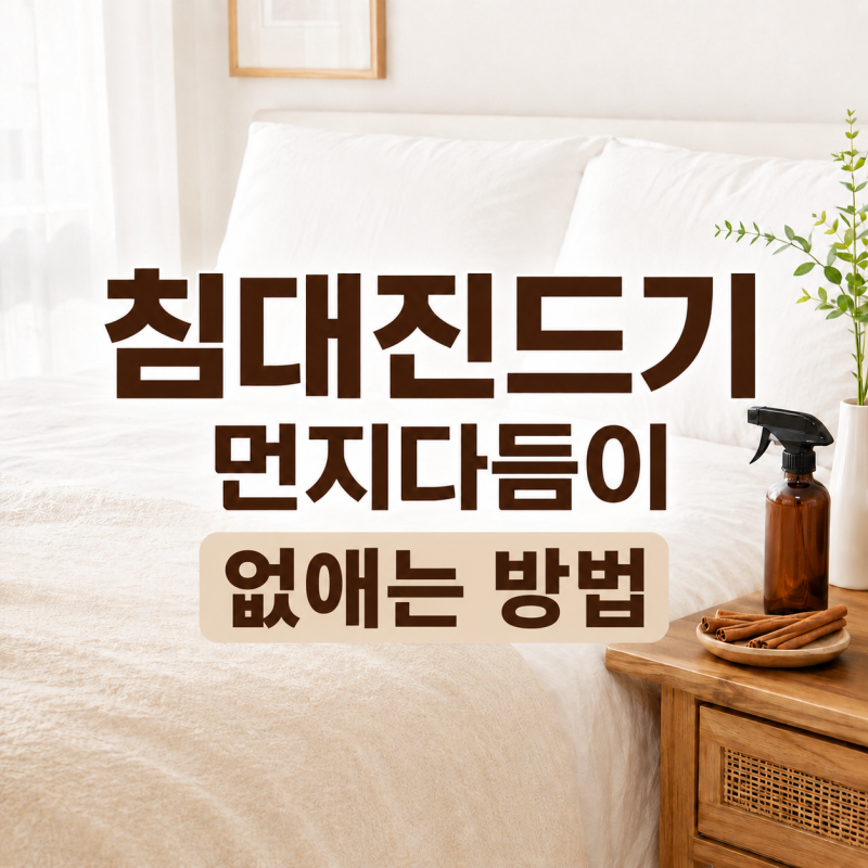 침대진드기 먼지다듬이 없애는 방법, 계피 스프레이 사용후기