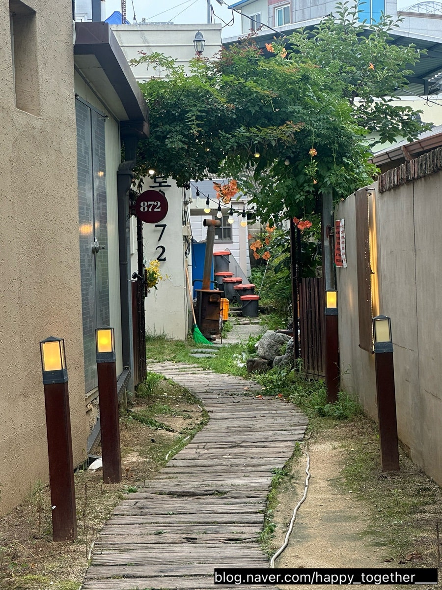 교동872 사진 3