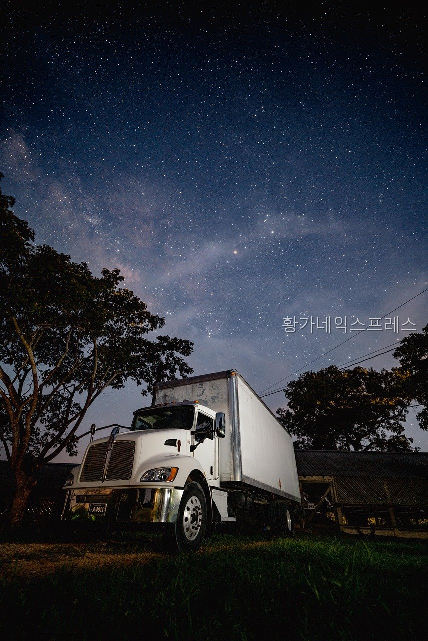 황가 사진 5