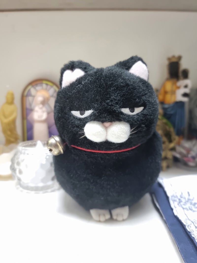 까만 아기고양이 꿈