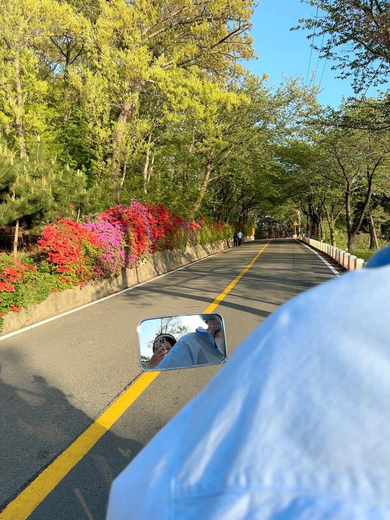 인천 신시모도 당일치기 여행 배 타고 스쿠터까지 완벽했던 힐링 코스❤️