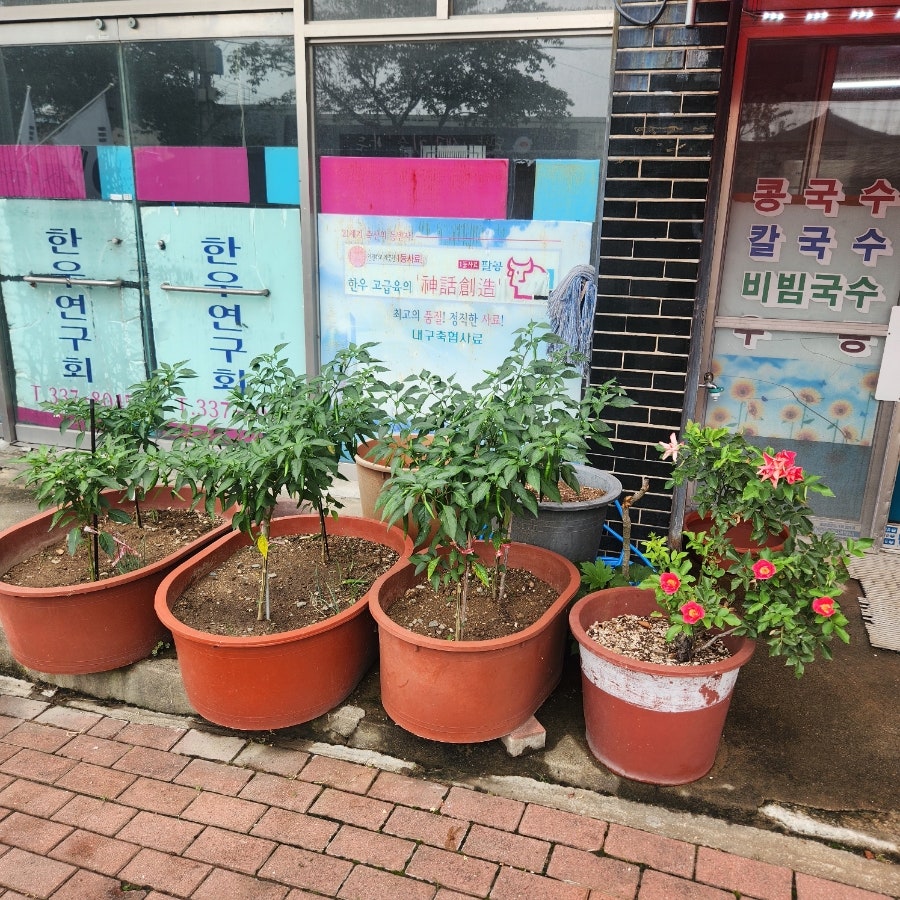 서문분식 사진 3