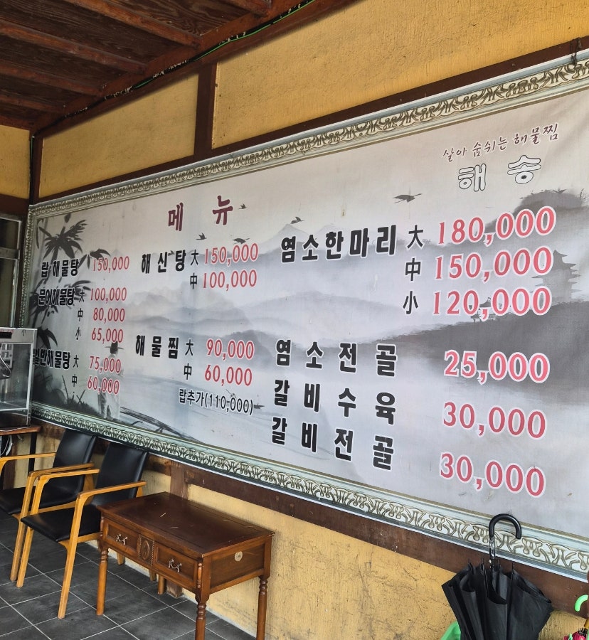 해송 사진 5
