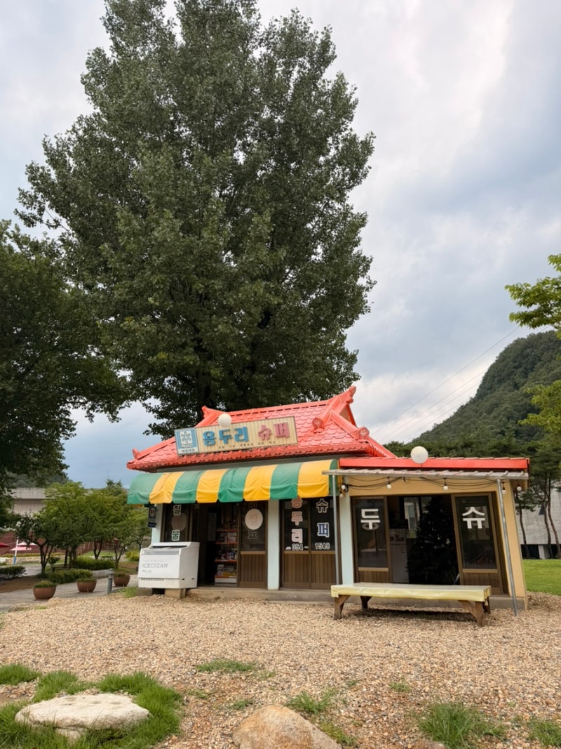문경에코월드 아이와 가볼만한곳｜거미열차·에어바운스·모노레일까지 하루 코스