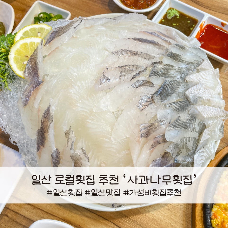 사과나무횟집 사진 1
