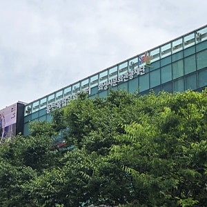 [경기 화성] 동탄복합문화센터 수영장 자유수영 후기