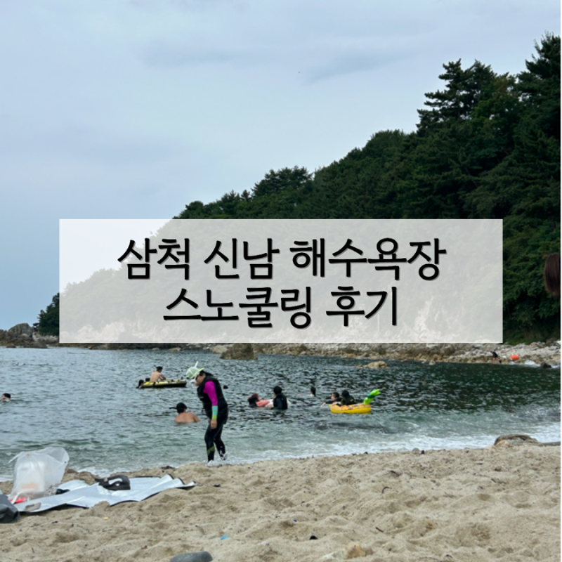 삼척 신남 해수욕장 스노쿨링 후기 | 맛집 숙소 샤워 주차장 개장