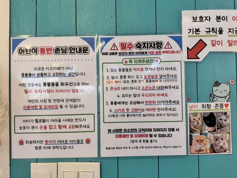 미어캣인더시티 사진 3