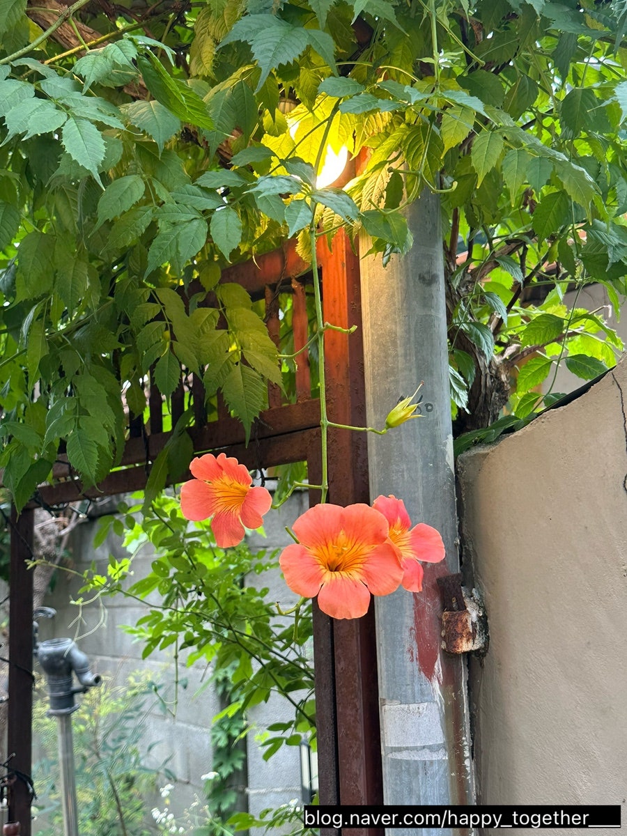 교동872 사진 4