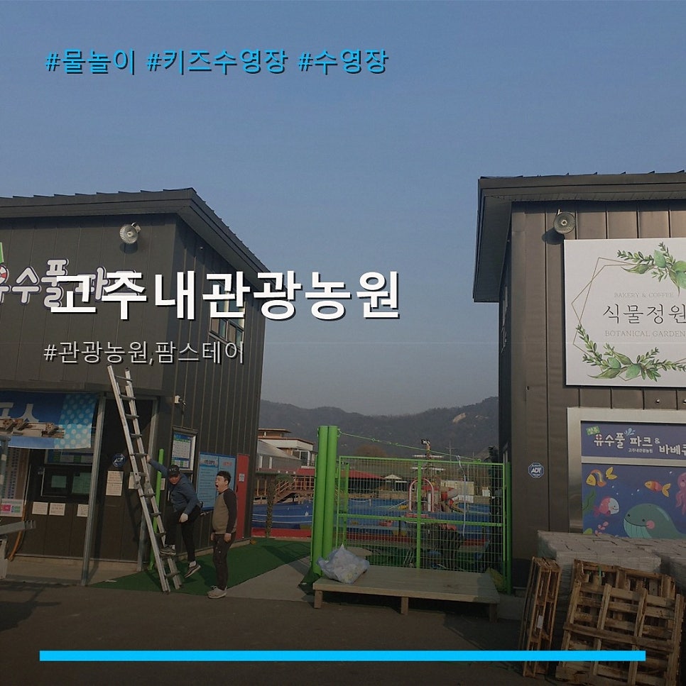 팜 사진 1