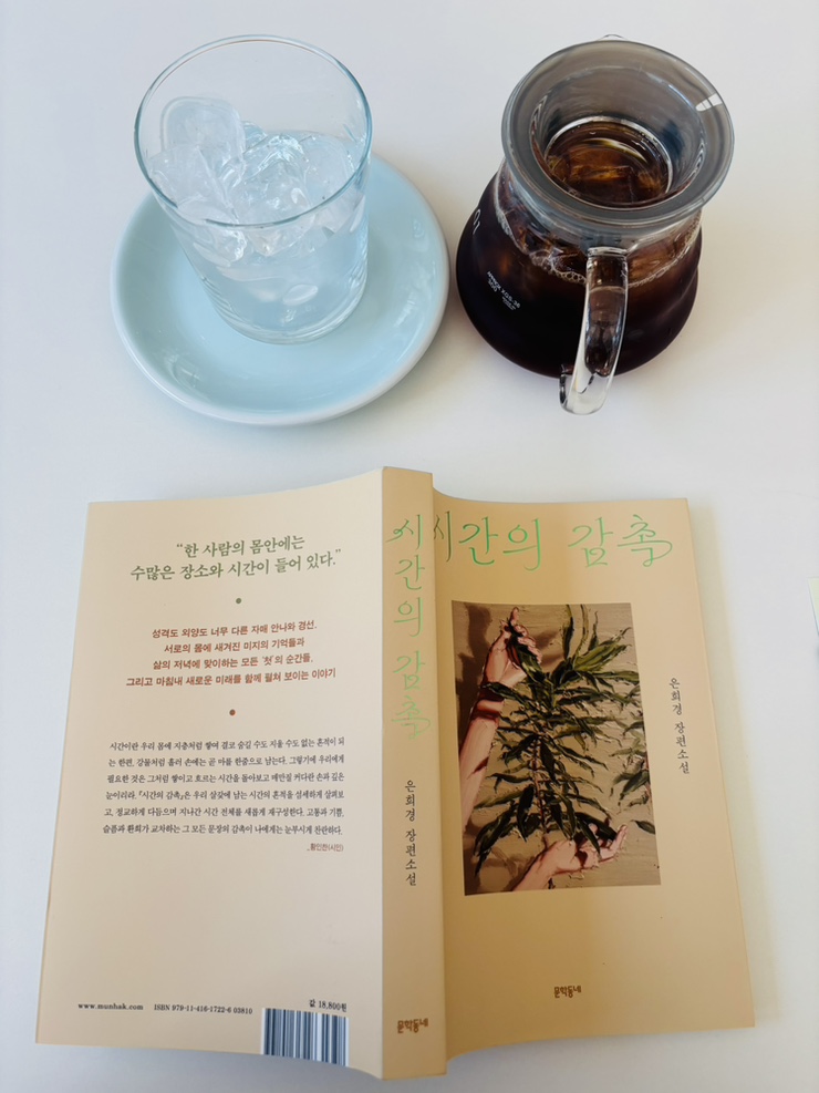 하우스먼트 인어로우 사진 6