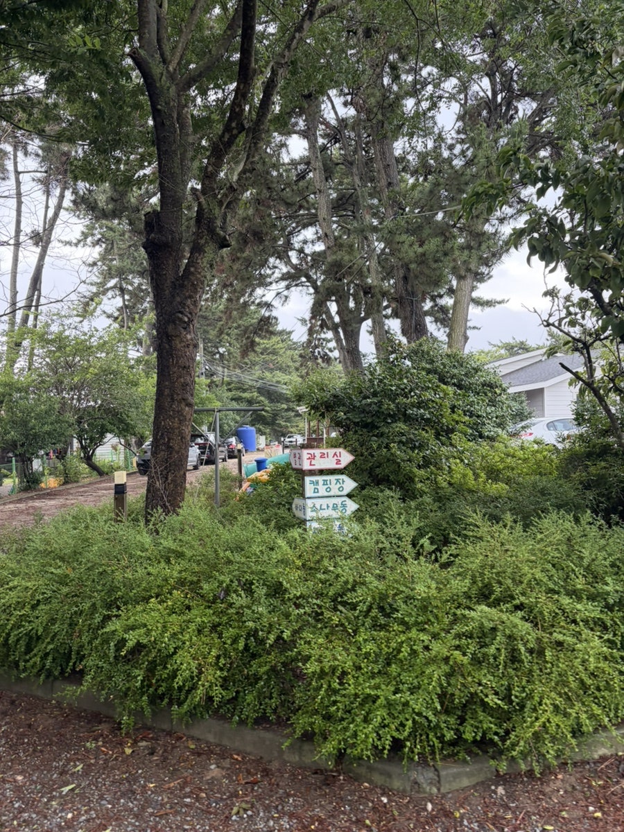 솔모루펜션 사진 3