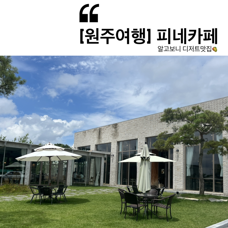 피네 사진 1