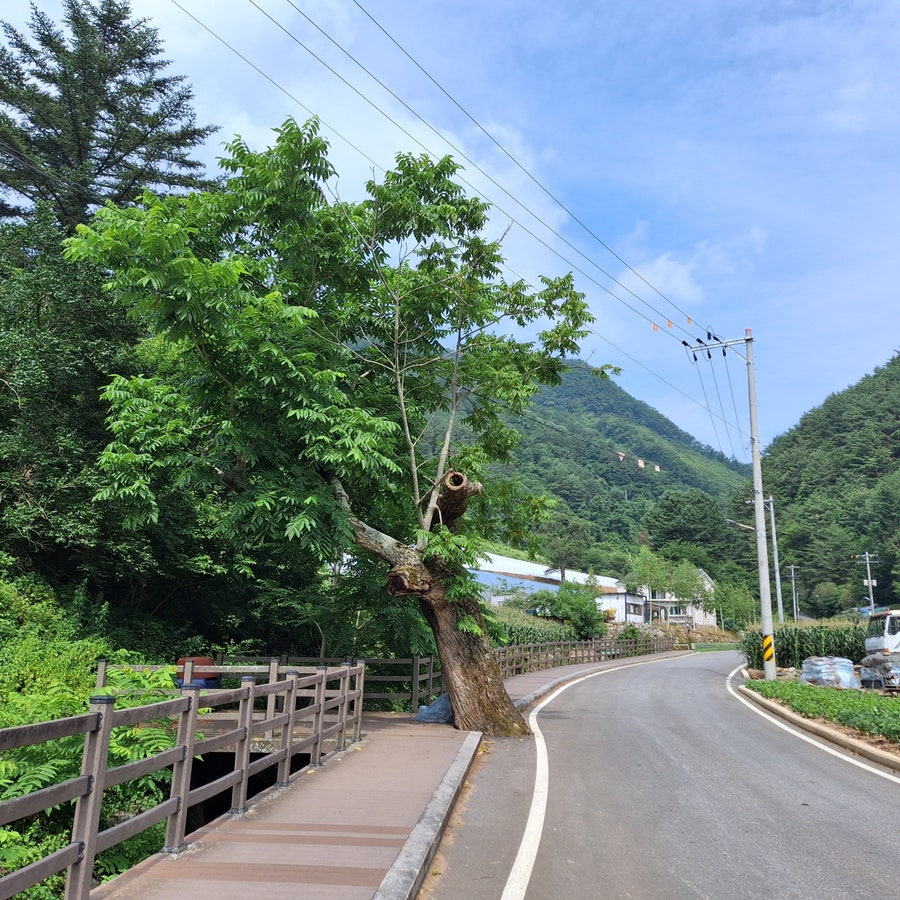 지억산 사진 3