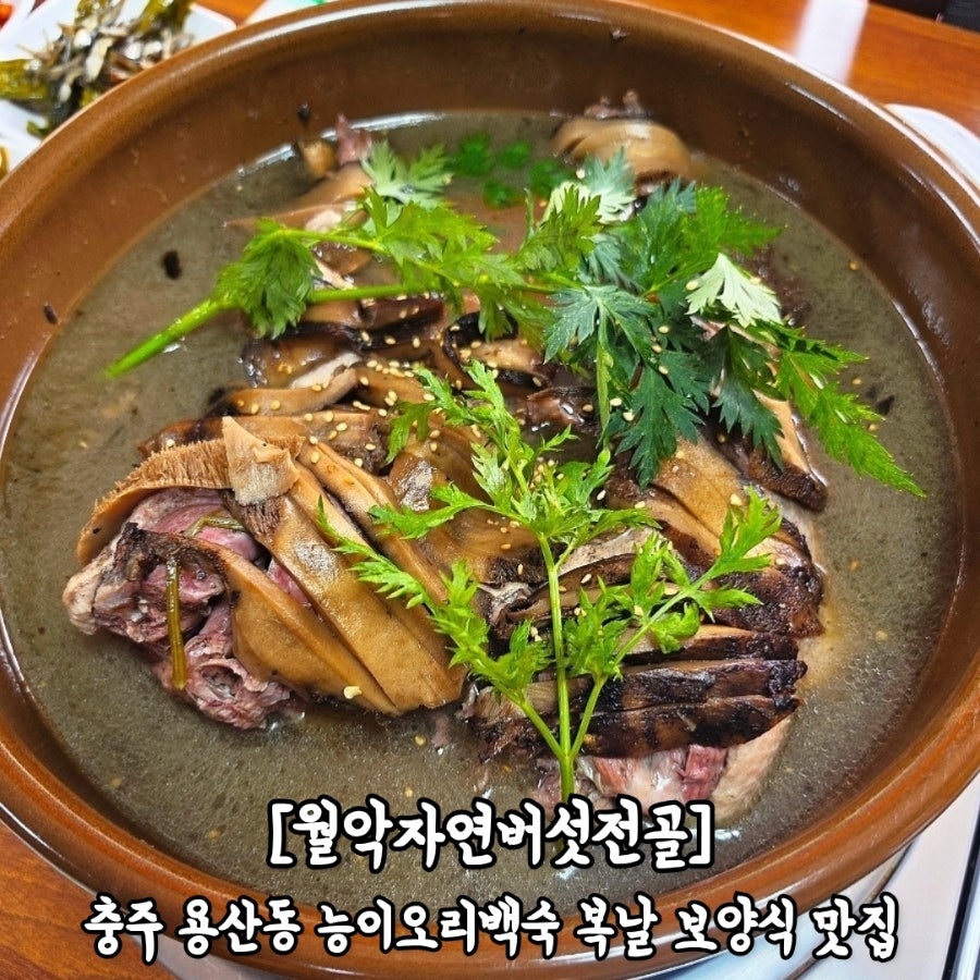 월악자연버섯전골 사진 1