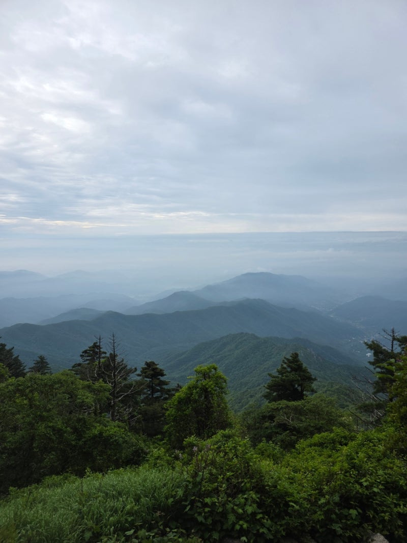 경남 산청 지리산 중산리 칼바위 로타리대피소 최단 코스 후기