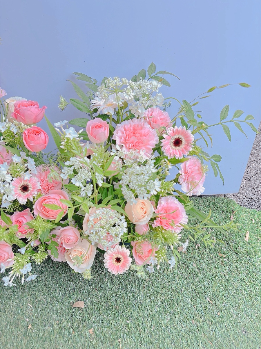 라로제 사진 6