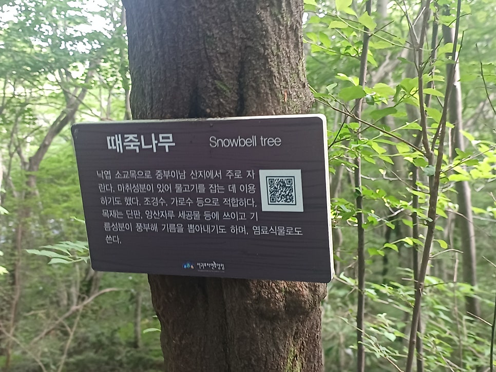 법정악 사진 1