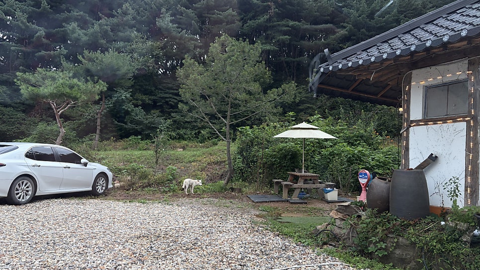 소쇄원간장게장 김포본점 사진 4