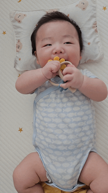 100일 아기 치발기 추천｜주먹고기 시작한 아기 하카 트윈플라워 사용 후기