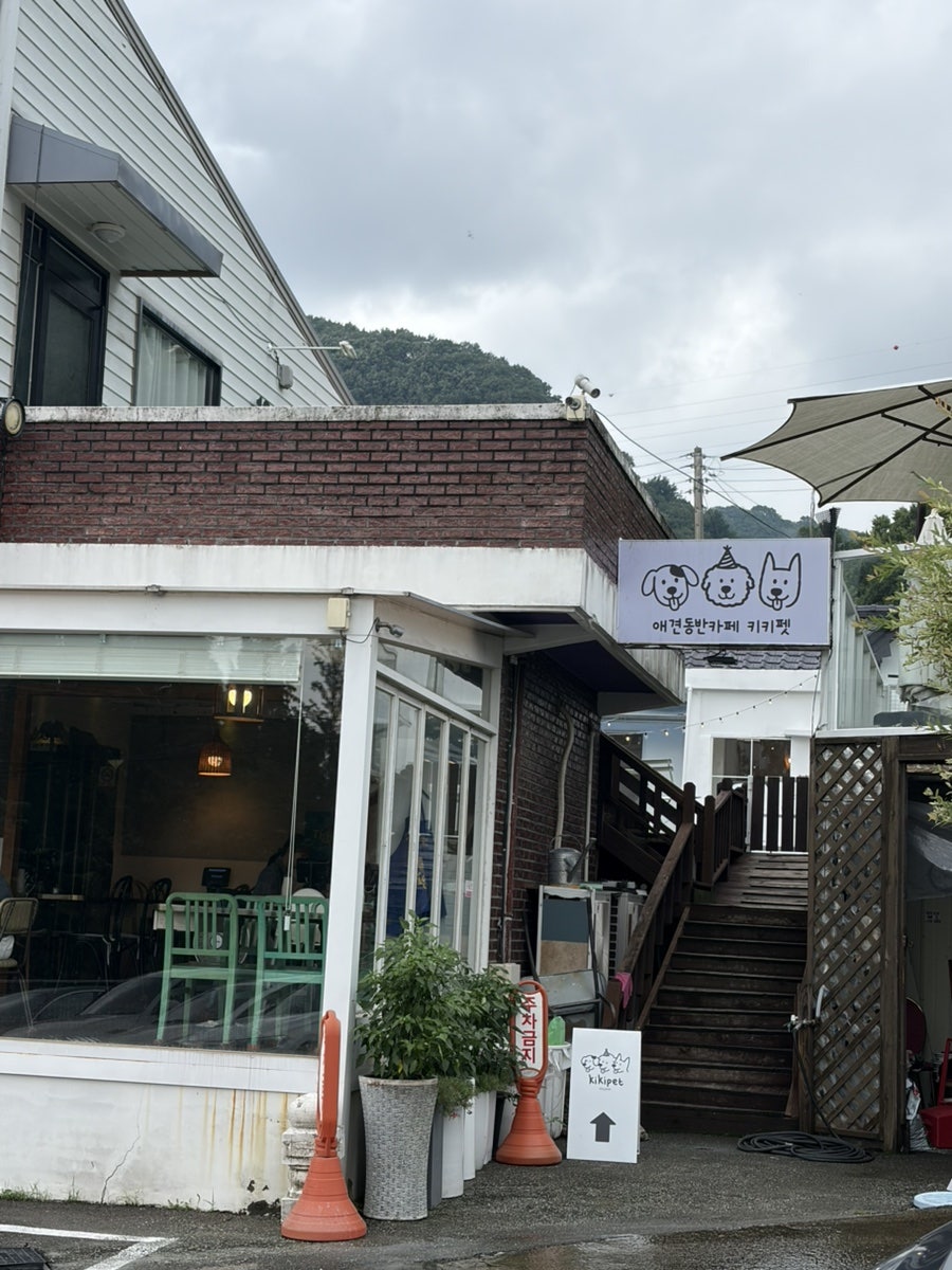 키키펫 사진 3