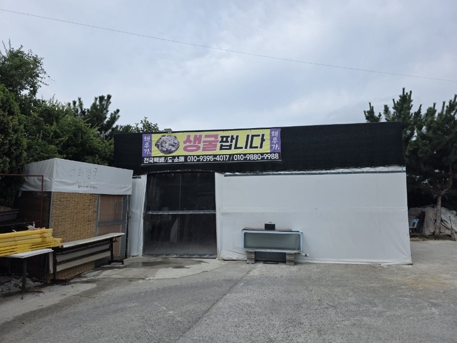 해루가 사진 3
