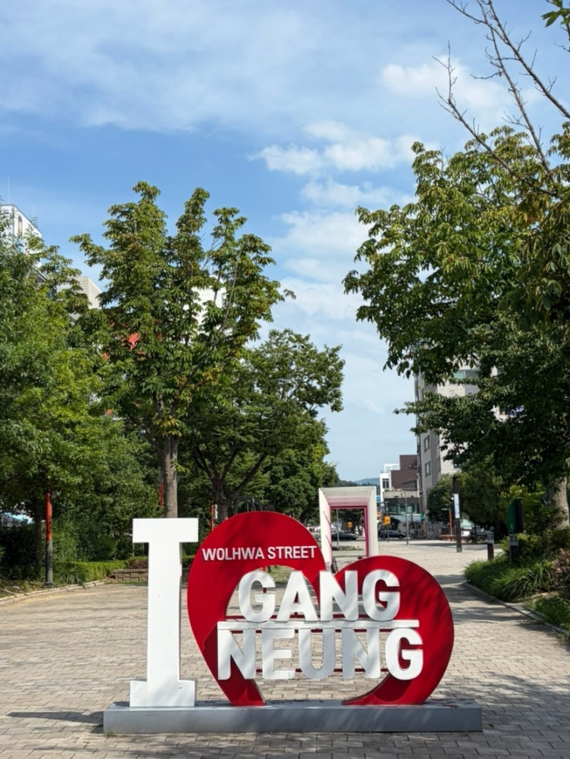 [강릉 중앙시장 먹거리 총정리] 월화거리야시장부터 꼭 먹어야 할 음식 추천