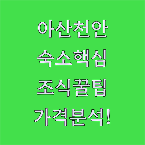 아산 천안 출장 여행 숙소 추천 조식 시설 가격 분석