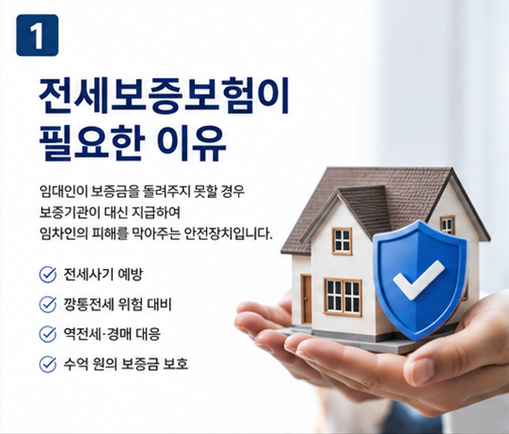 전세보증보험 HUG·HF·SGI 차이점 총정리! 나에게 유리한 보증보험은 무엇일까?