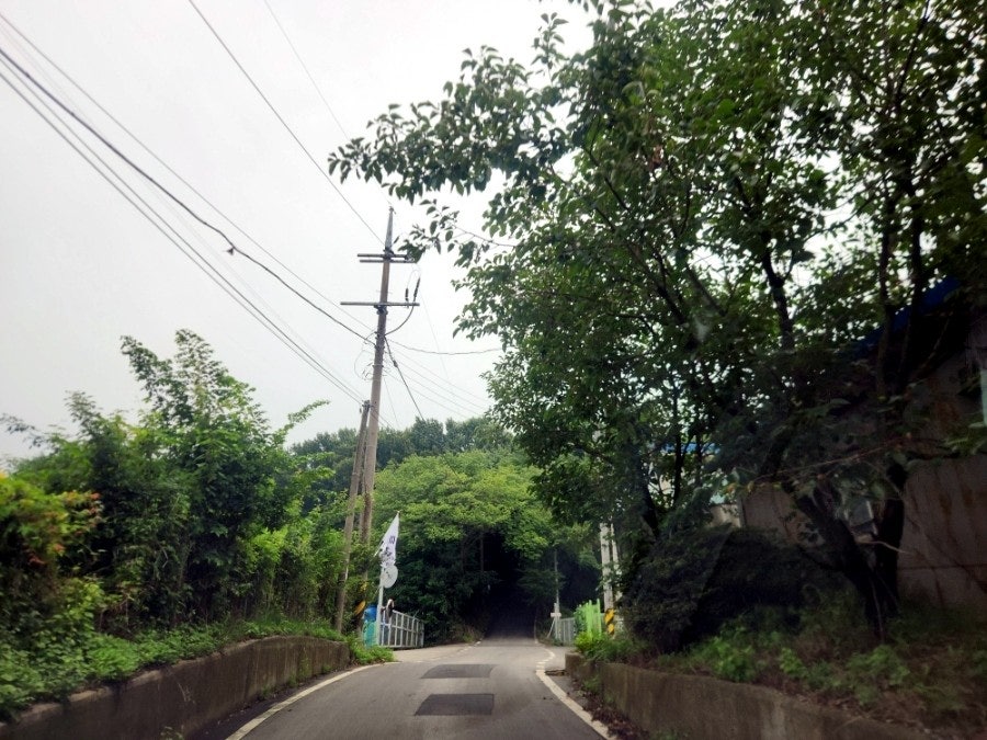 철마산 사진 2