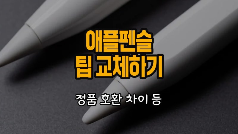 애플펜슬 팁 교체 정품 호환 차이 등 1초컷 정리