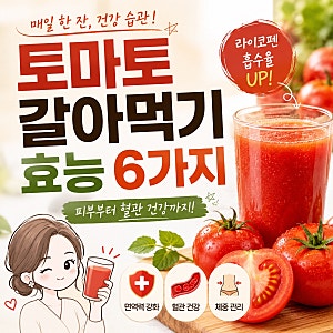 토마토 효능 주스 갈아먹기