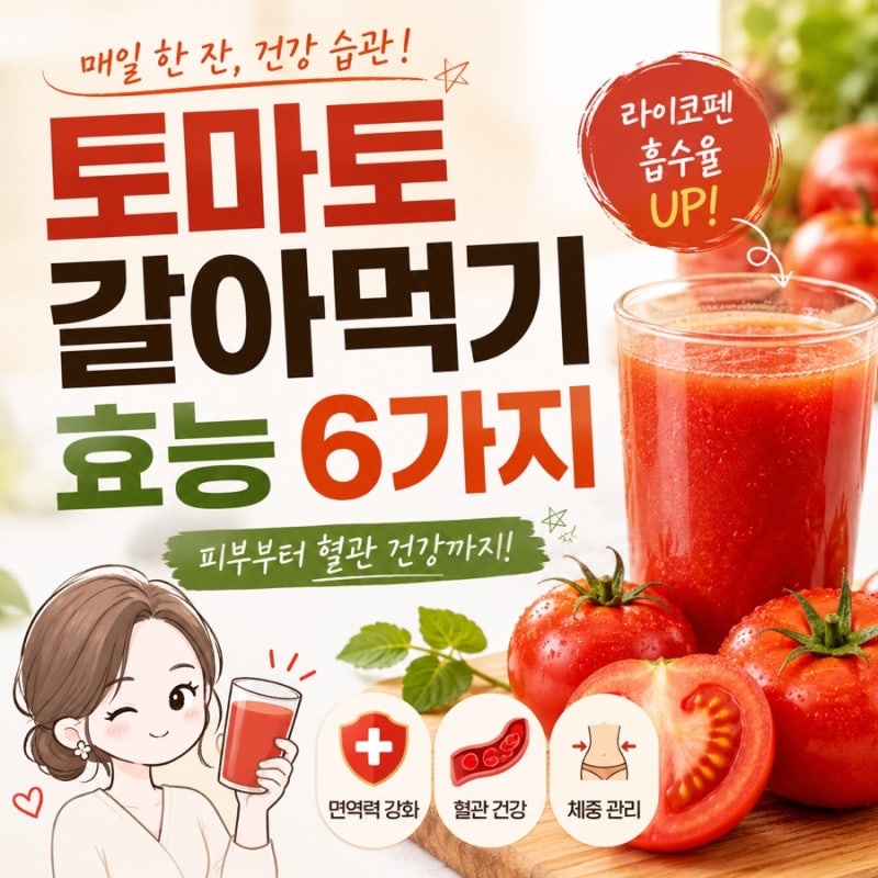 토마토 효능 주스 갈아먹기