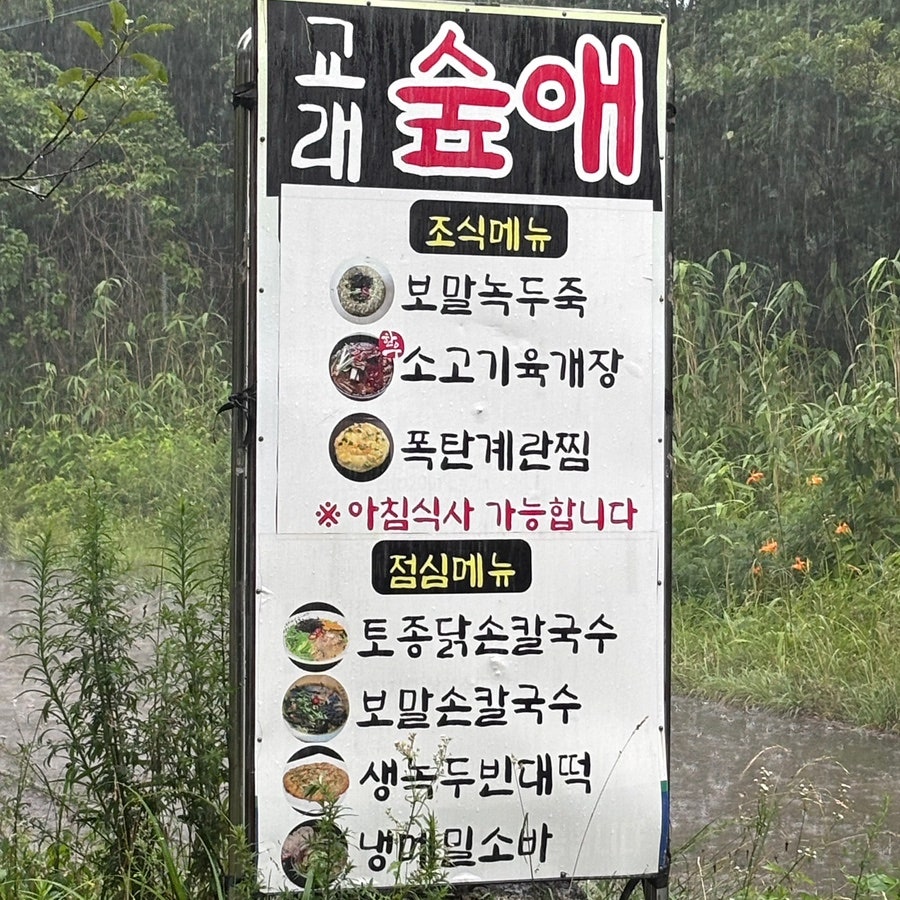 숲애 사진 3