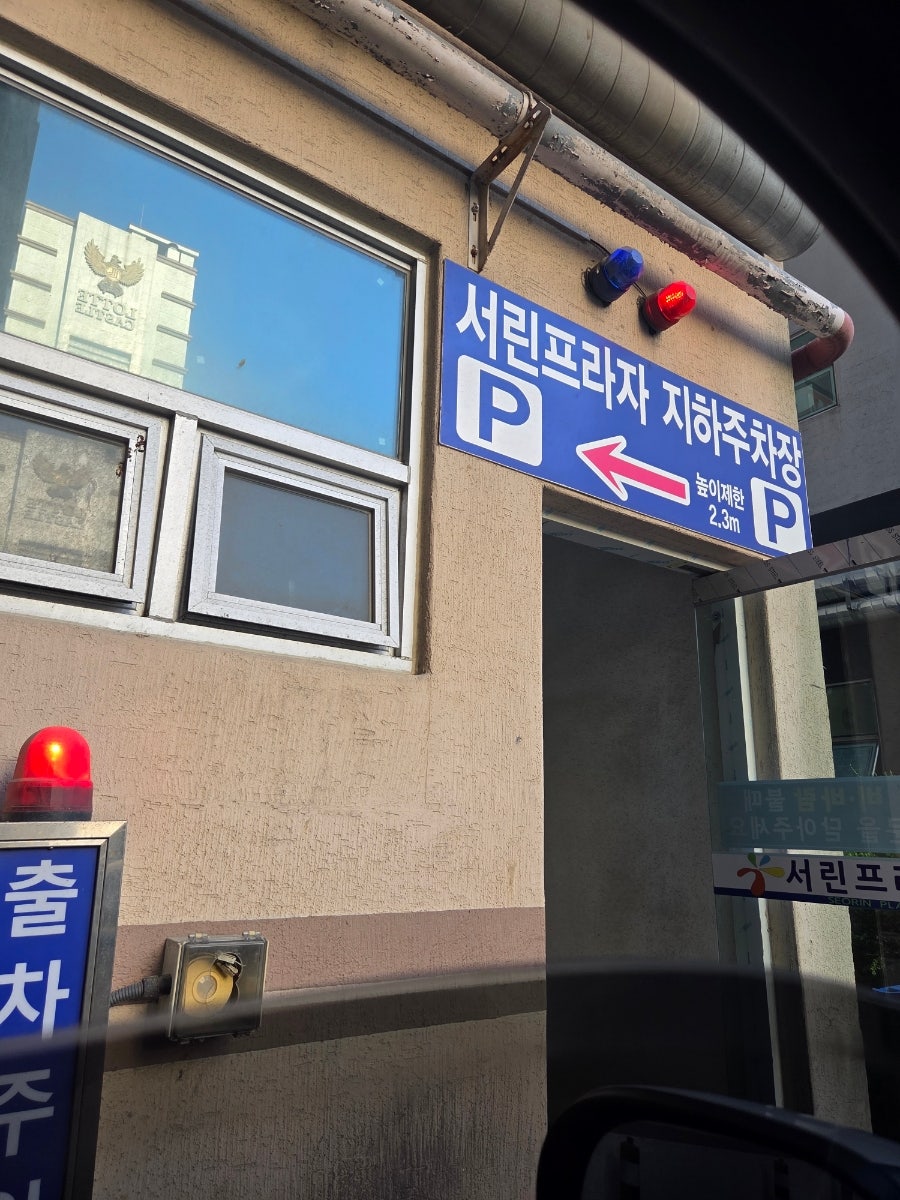 부산갈매기 사진 4