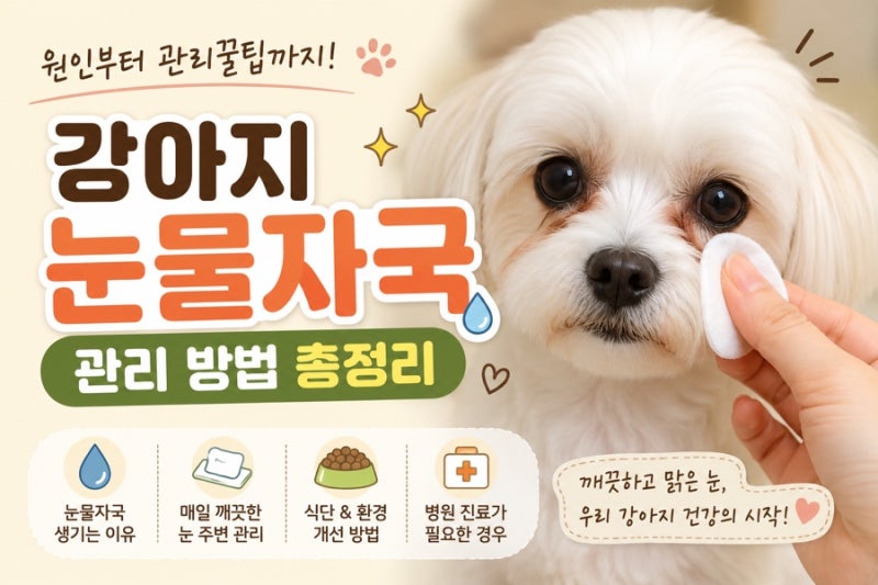 강아지 눈물자국 관리 방법｜원인, 없애는 방법, 예방까지 총정리