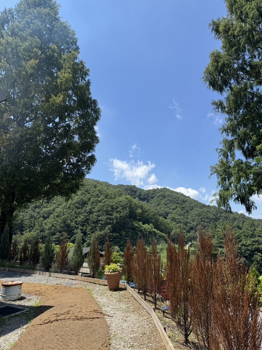 은구비&로스팅팩토리 사진 4