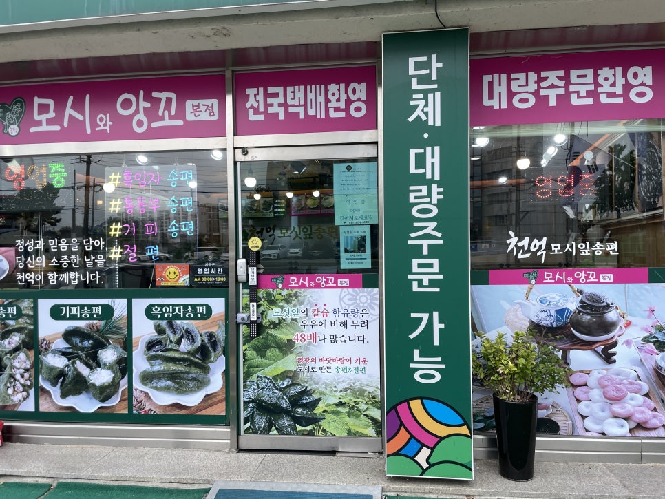 천억 모싯잎송편 송정점 사진 3