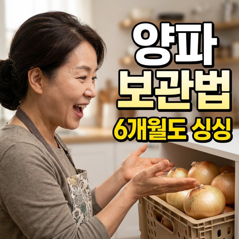 양파 보관법 총정리! 여름철 깐양파 실온 냉장 보관 꿀팁