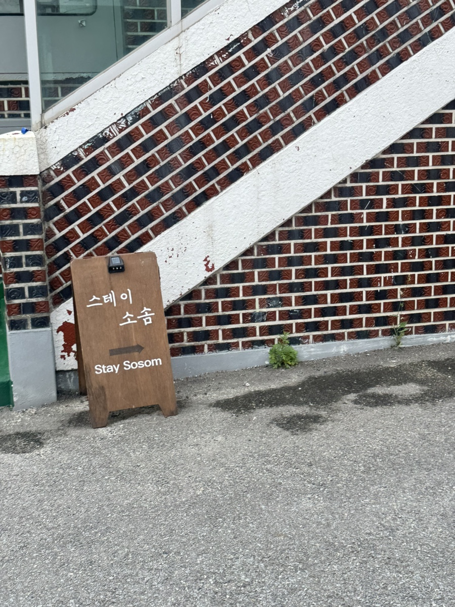 스테이소솜 사진 3