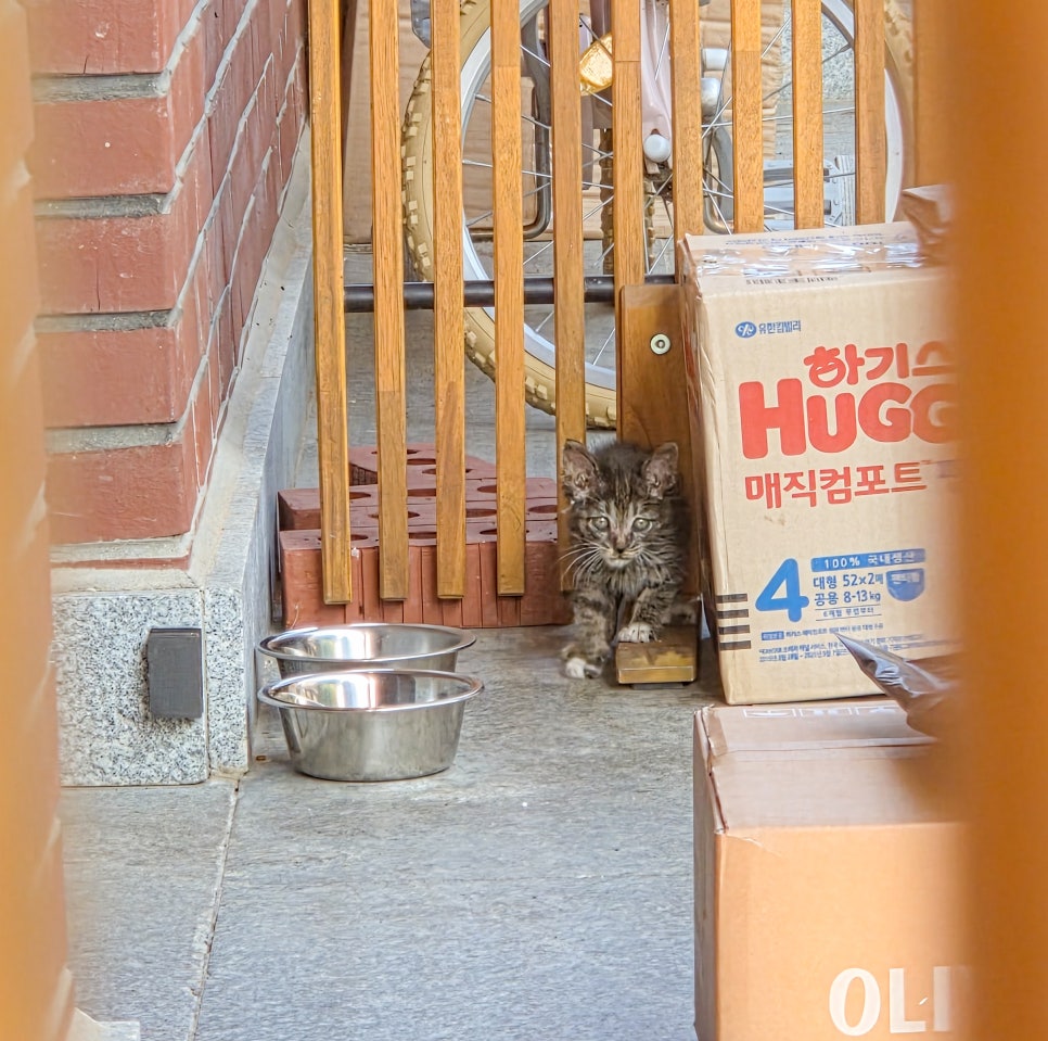 청객 사진 5