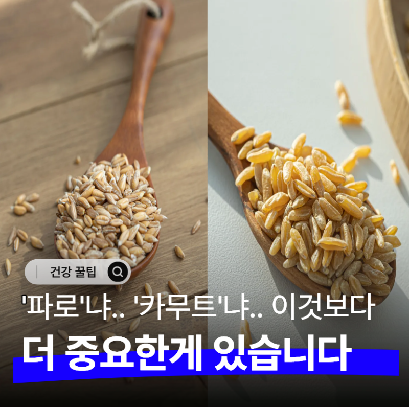 파로 효소 vs 카무트 효소, 속이 예전 같지 않은 50대는 뭘 골라야 할까?