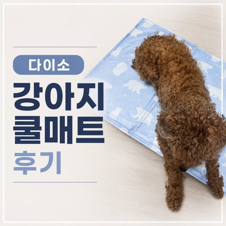 다이소 강아지 쿨매트 XL 구매후기 다이소몰 재고조회 방법