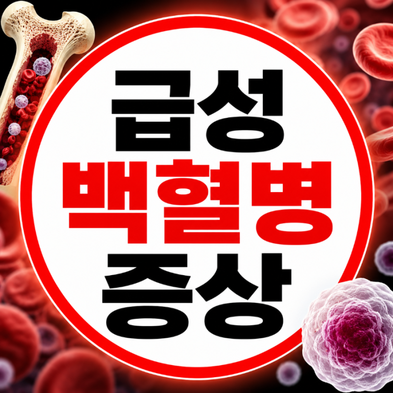 급성 백혈병 증상, 감기로 착각하기 쉬운 초기 신호 총정리